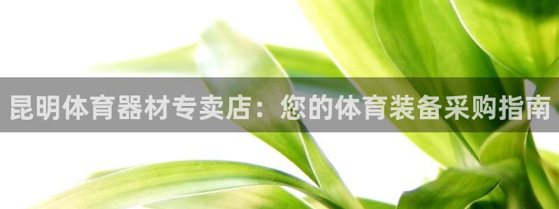 尊龙凯时注册入口：昆明体育器材专卖店：您的体育装备采